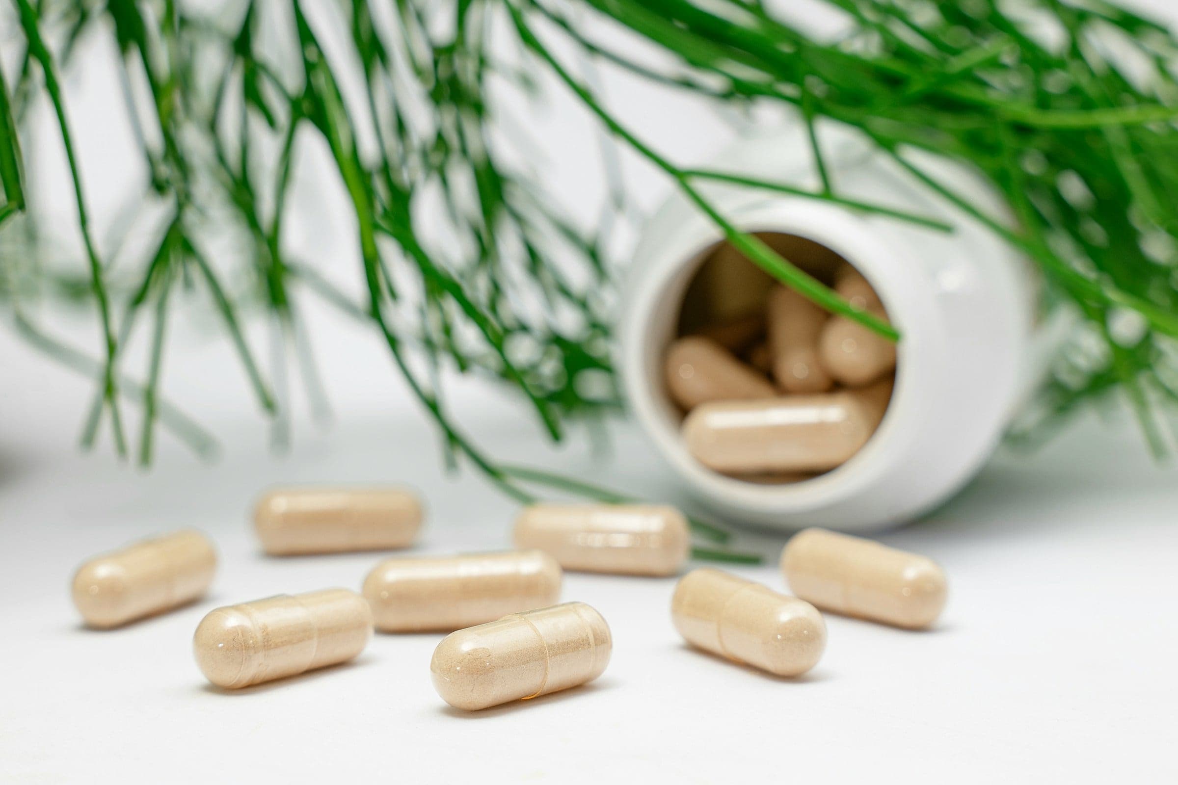 Capsules spilling from a white bottle beside sprigs of green leaves